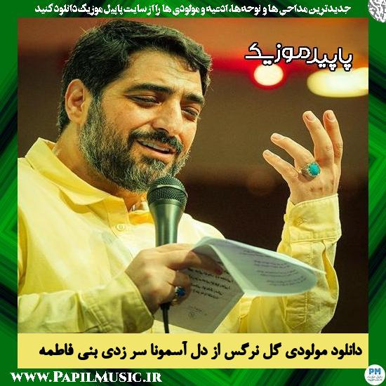 دانلود مولودی گل نرگس از دل آسمونا سر زدی از مجید بنی فاطمه